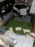 processed/d352e27b-b341-4ac7-b9ed-3eb49a9ad763/facility/3791ad08-fe71-44d6-a093-40fdd33a7bed