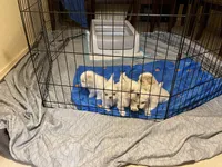 processed/d352e27b-b341-4ac7-b9ed-3eb49a9ad763/facility/7bbf841c-0226-4882-a57b-c4c92b65bbcd