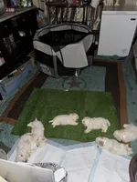 processed/d352e27b-b341-4ac7-b9ed-3eb49a9ad763/facility/7ebe7a0f-13bd-4490-bf00-df80f5bb8fae