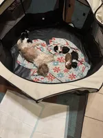 processed/d352e27b-b341-4ac7-b9ed-3eb49a9ad763/facility/bd042b84-8904-4e28-b79c-d65671a5dc38