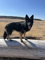 processed/d355c6a0-e5be-4dd7-b53b-d7ef45005cb4/facility/3127ff09-d24e-4424-a7a3-64c431ac2e28