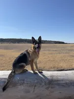 processed/d355c6a0-e5be-4dd7-b53b-d7ef45005cb4/facility/4d48fd46-35b7-4f61-830a-48cc5268594f