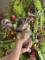 processed/d35d74c2-1b5b-4a8e-b391-fa055e0de2bd/listing/679bdbd2-a412-4fbf-a196-6e0f041692b4/7a42887e-be00-4447-b086-4ee654181738