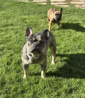 processed/d35d74c2-1b5b-4a8e-b391-fa055e0de2bd/listing/679bdbd2-a412-4fbf-a196-6e0f041692b4/94ea0570-a769-448c-a961-d2b164b5373f