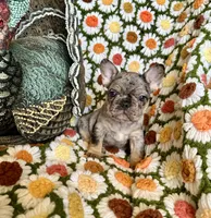 processed/d35d74c2-1b5b-4a8e-b391-fa055e0de2bd/listing/679bdbd2-a412-4fbf-a196-6e0f041692b4/bd84c162-df11-4490-bb64-74d8bc3b872a