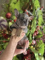 processed/d35d74c2-1b5b-4a8e-b391-fa055e0de2bd/listing/679bdbd2-a412-4fbf-a196-6e0f041692b4/f464dcfb-4ee1-466d-bf52-4fd2e60c646f