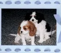 processed/d35ee9af-b705-4325-a1e9-ffd54411355e/facility/07ce85ee-765c-407f-b920-65ea54771a65