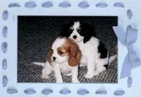 processed/d35ee9af-b705-4325-a1e9-ffd54411355e/facility/07ce85ee-765c-407f-b920-65ea54771a65