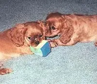 processed/d35ee9af-b705-4325-a1e9-ffd54411355e/facility/2ecfc1a7-02d0-4b1e-ad28-542c6d9b483e