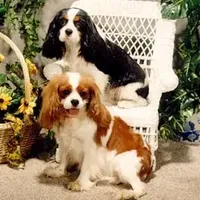 processed/d35ee9af-b705-4325-a1e9-ffd54411355e/facility/3ca9d874-f503-4632-99cc-cf6260825494