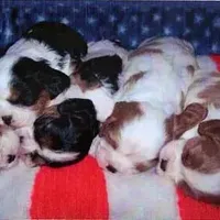 processed/d35ee9af-b705-4325-a1e9-ffd54411355e/facility/4b052013-ba76-483e-87db-3cb46eb03581