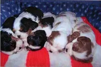 processed/d35ee9af-b705-4325-a1e9-ffd54411355e/facility/4b052013-ba76-483e-87db-3cb46eb03581