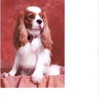 processed/d35ee9af-b705-4325-a1e9-ffd54411355e/facility/5755d0e4-af76-4e86-95fc-7cce5bed47e8