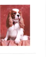 processed/d35ee9af-b705-4325-a1e9-ffd54411355e/facility/5755d0e4-af76-4e86-95fc-7cce5bed47e8