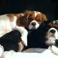 processed/d35ee9af-b705-4325-a1e9-ffd54411355e/facility/ac242153-658a-461d-b636-160981934ca3