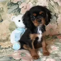 processed/d35ee9af-b705-4325-a1e9-ffd54411355e/facility/c0a8c760-b2ee-41d8-8431-84bf440f07ad