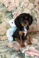 processed/d35ee9af-b705-4325-a1e9-ffd54411355e/facility/c0a8c760-b2ee-41d8-8431-84bf440f07ad