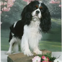 processed/d35ee9af-b705-4325-a1e9-ffd54411355e/facility/d6588e2c-0487-419c-b285-41a932c1d5db