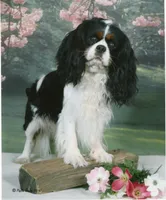 processed/d35ee9af-b705-4325-a1e9-ffd54411355e/facility/d6588e2c-0487-419c-b285-41a932c1d5db