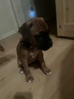 processed/d365d313-14f0-412b-86a9-0aa44ccadf49/listing/01352936-ec5b-4ae5-8526-03fb69453b26/2b51dc44-c2e5-47b5-955a-939b8d8a8b11