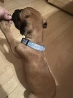 processed/d365d313-14f0-412b-86a9-0aa44ccadf49/listing/2f6f16b5-0804-44fd-9169-d7b6dba43da9/34b0d367-2972-4725-b029-debe7facac6e