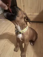 processed/d365d313-14f0-412b-86a9-0aa44ccadf49/listing/c3412e91-4733-4be6-8da7-34b1808a4c0f/79750b93-bcfc-4ab6-913d-826ae1360e15