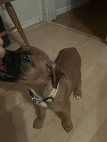 processed/d365d313-14f0-412b-86a9-0aa44ccadf49/listing/c3412e91-4733-4be6-8da7-34b1808a4c0f/af785f17-f271-4ebe-8971-4224f6d3ef5a