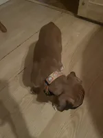 processed/d365d313-14f0-412b-86a9-0aa44ccadf49/listing/fc10741d-506d-4f81-8f3c-35ec0d8aac6c/b4d1f868-019b-4765-94ce-24d73bcea903