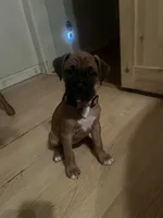 processed/d365d313-14f0-412b-86a9-0aa44ccadf49/listing/fc10741d-506d-4f81-8f3c-35ec0d8aac6c/d9f9d113-a937-4e50-af8d-cd7b7a52e394