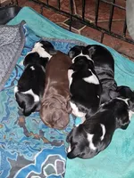 processed/d3685246-8a19-4bb6-81a0-8e99a8ae9b0a/facility/44846673-05d3-49ad-9517-54ee02e84b53