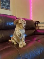 processed/d36c5fac-9215-44ad-b28c-259cf0702c68/listing/e84fafb4-031e-4984-9931-fc6dc27df7c8/973e1d2a-5a0a-48f5-a526-1b70b50ff7ea