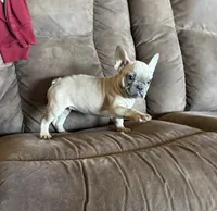 processed/d374a149-8ea5-458f-b1b9-7a1101c68a4a/listing/a41d2481-d9d8-495a-9730-ed336350445d/6d21b315-8964-4867-945a-be6fe8f50df5