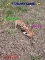 processed/d37d2baf-c0d8-4313-a0fa-cdfa14369481/listing/f5914763-4f2c-4e90-80c2-450929ccb535/3851a115-c57c-4151-88f1-13c830ab3f78