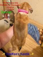 processed/d37d2baf-c0d8-4313-a0fa-cdfa14369481/listing/f5914763-4f2c-4e90-80c2-450929ccb535/852bc25a-b08f-4ede-99e8-a67d7ac4fe43