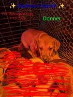 processed/d37d2baf-c0d8-4313-a0fa-cdfa14369481/listing/f5914763-4f2c-4e90-80c2-450929ccb535/db3abb0d-d81a-4ae6-950d-4b307879203d