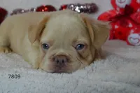 processed/d37fe36e-531f-44b9-ae3e-40408bdf4e1d/listing/1c7d9404-e262-4171-9d01-e12a1eabc788/06004c52-60f2-4014-8534-bd54385cfc4c