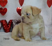 processed/d37fe36e-531f-44b9-ae3e-40408bdf4e1d/listing/1c7d9404-e262-4171-9d01-e12a1eabc788/18d76852-e633-4b2f-b215-6d7387ee6594