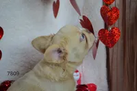 processed/d37fe36e-531f-44b9-ae3e-40408bdf4e1d/listing/1c7d9404-e262-4171-9d01-e12a1eabc788/648c4ca5-b0ff-41ed-b661-6a29556f7fd7