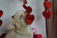 processed/d37fe36e-531f-44b9-ae3e-40408bdf4e1d/listing/1c7d9404-e262-4171-9d01-e12a1eabc788/a7d5b020-f431-4299-9af0-da2b1f857733