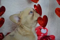 processed/d37fe36e-531f-44b9-ae3e-40408bdf4e1d/listing/1c7d9404-e262-4171-9d01-e12a1eabc788/b2f30e7e-bbfa-402b-8dff-7ba0659874a9