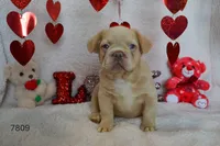 processed/d37fe36e-531f-44b9-ae3e-40408bdf4e1d/listing/1c7d9404-e262-4171-9d01-e12a1eabc788/c9ef0d1f-e9df-47be-b762-2ca93d06da63