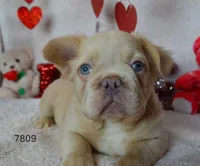 processed/d37fe36e-531f-44b9-ae3e-40408bdf4e1d/listing/1c7d9404-e262-4171-9d01-e12a1eabc788/f4119a5b-168d-4f60-8d53-8f4ade007411