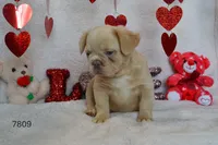 processed/d37fe36e-531f-44b9-ae3e-40408bdf4e1d/listing/1c7d9404-e262-4171-9d01-e12a1eabc788/fd20cd19-419e-4466-a1f3-2ad9cf85be6e