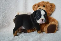 processed/d37fe36e-531f-44b9-ae3e-40408bdf4e1d/listing/24873223-cba5-42bd-a587-2872324bd705/0be03f2a-b0d6-4448-9a8b-3a43b1b8769a