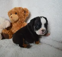 processed/d37fe36e-531f-44b9-ae3e-40408bdf4e1d/listing/24873223-cba5-42bd-a587-2872324bd705/59d2bbe2-ff1c-4532-861e-05443665c718