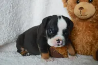 processed/d37fe36e-531f-44b9-ae3e-40408bdf4e1d/listing/24873223-cba5-42bd-a587-2872324bd705/ddc4854b-bf9c-4494-9eab-9a411f771c65