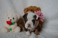 processed/d37fe36e-531f-44b9-ae3e-40408bdf4e1d/listing/369417d9-3bab-4015-b4f3-41df04c3f553/1c84a60f-da8c-4472-ae88-51bbb928595b