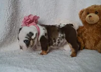 processed/d37fe36e-531f-44b9-ae3e-40408bdf4e1d/listing/369417d9-3bab-4015-b4f3-41df04c3f553/67dd080d-dc15-40fd-85e4-d1d36e2fa51a