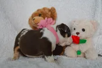 processed/d37fe36e-531f-44b9-ae3e-40408bdf4e1d/listing/369417d9-3bab-4015-b4f3-41df04c3f553/6a0ea604-3dd6-4748-a1f0-fc3901533b57