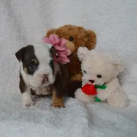 processed/d37fe36e-531f-44b9-ae3e-40408bdf4e1d/listing/369417d9-3bab-4015-b4f3-41df04c3f553/ec12f45c-9882-4bfa-baaf-cbaf450383e5